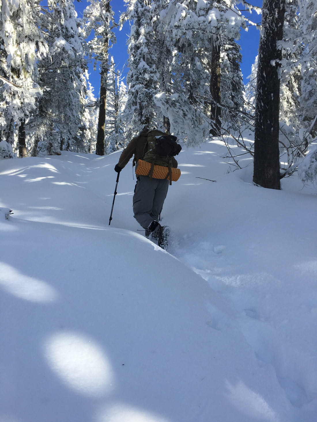 Maximus Ham Radio Antenna Warranty | Built to Last | Iron Spear Outfitters