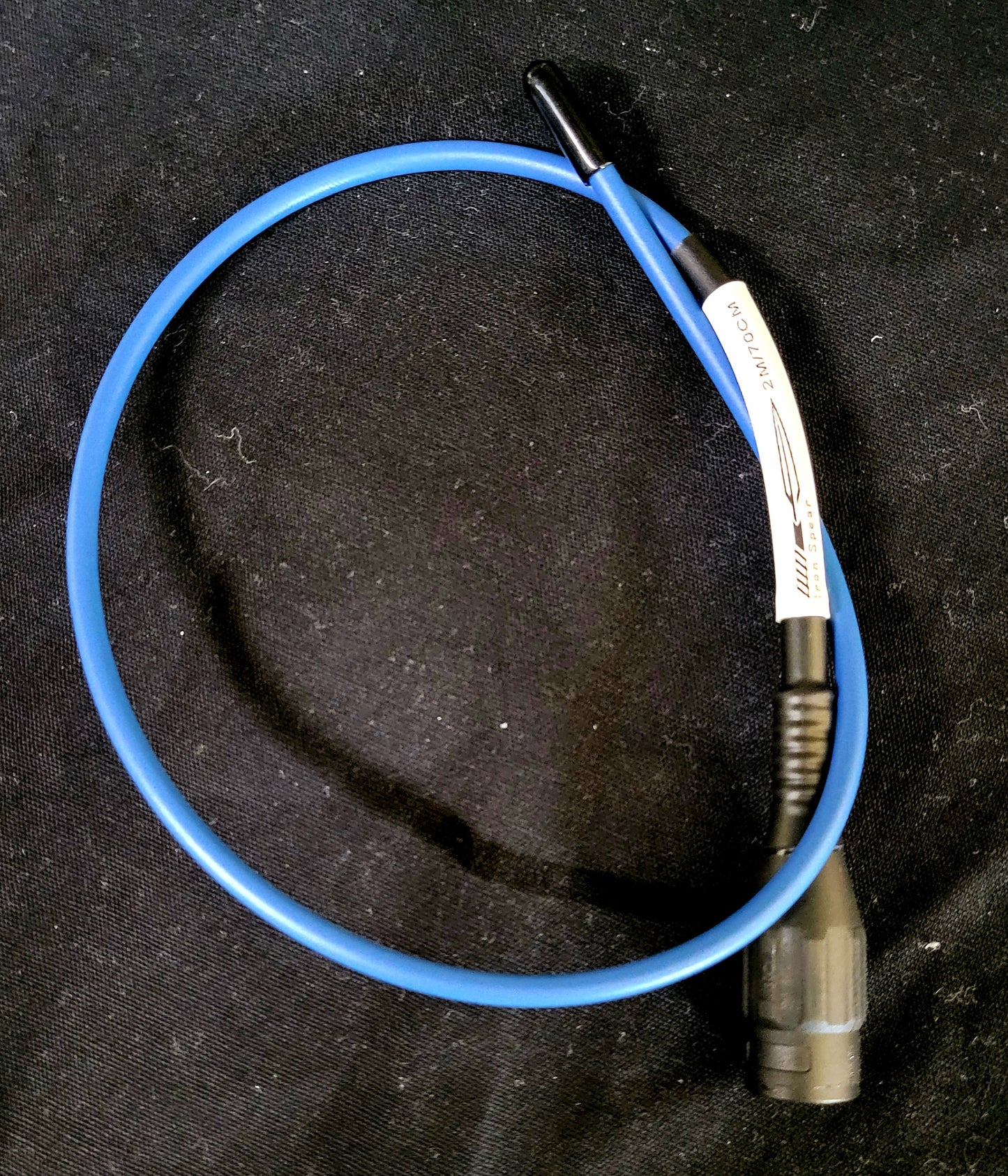 Maximus Levis Antenna